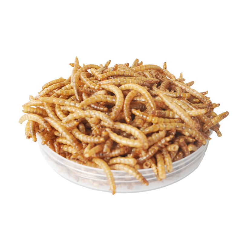 高タンパク質スナック ハムスター用フード 鳥類 ハリネズミ  - Food Snacks With Protein のレビューと価格