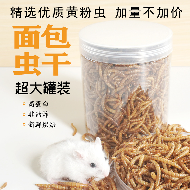 高タンパク質スナック ハムスター用フード 鳥類 ハリネズミ  - Food Snacks With Protein のレビューと価格